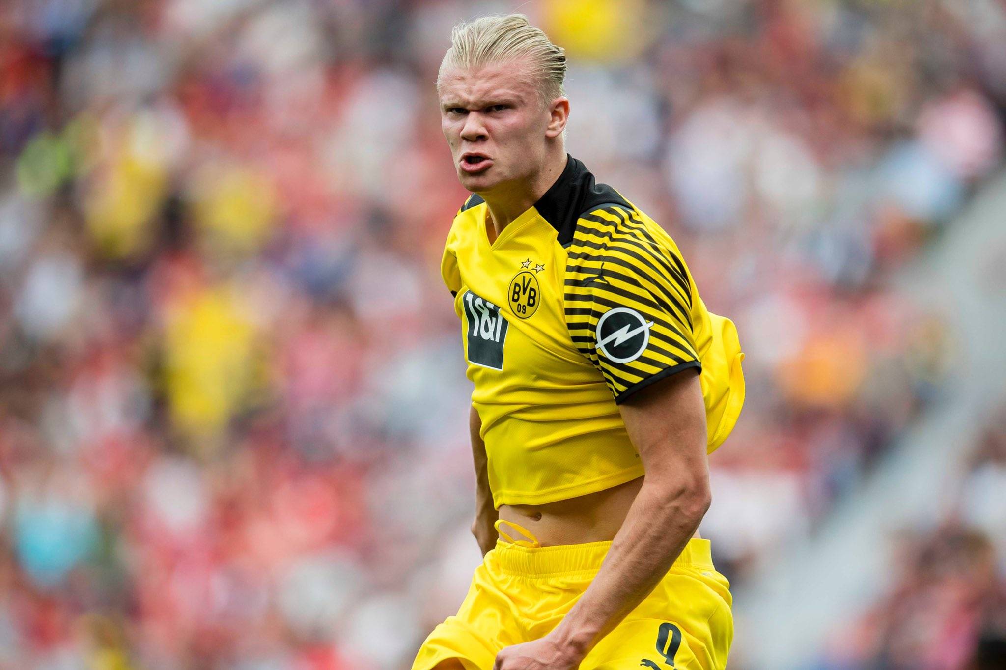 齐沃：老队员很好地接纳了年轻人；我们清楚弗拉泰西的重要性（齐沃：老将积极拥抱新人，我们深知弗拉泰西的价值）